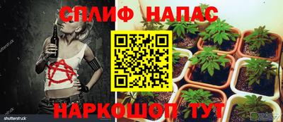 винт Новокубанск