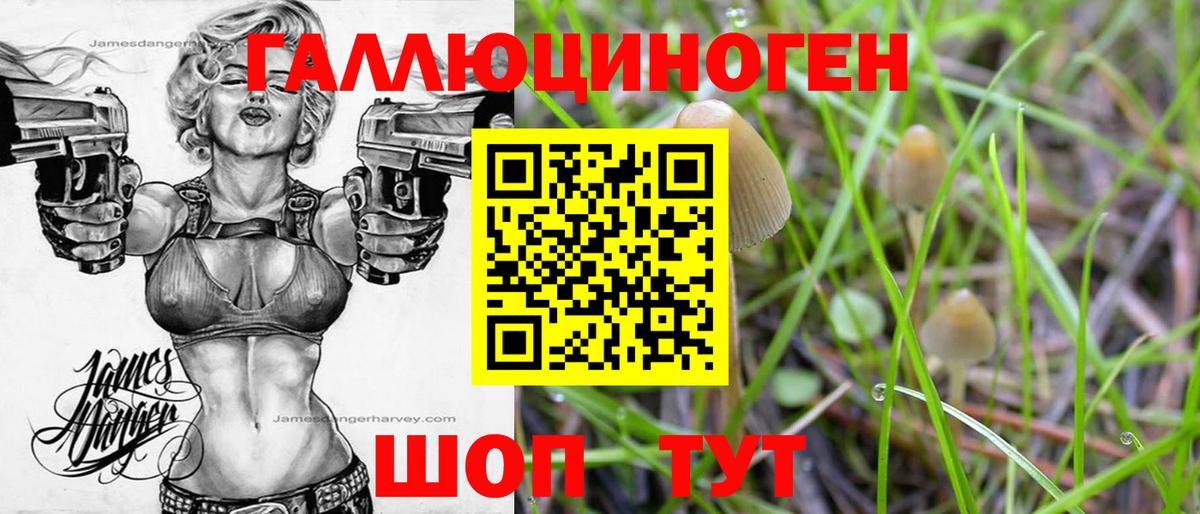 Псилоцибиновые грибы мухоморы Сочи