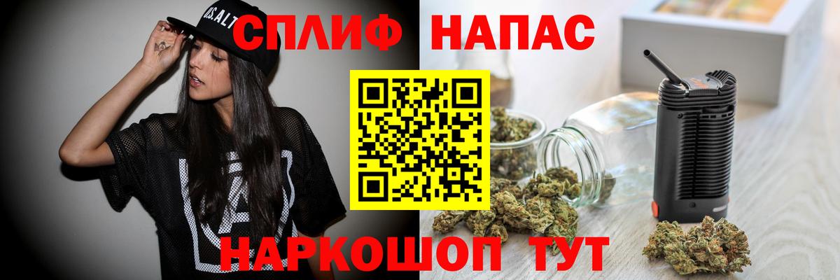 Каннабис конопля Сочи